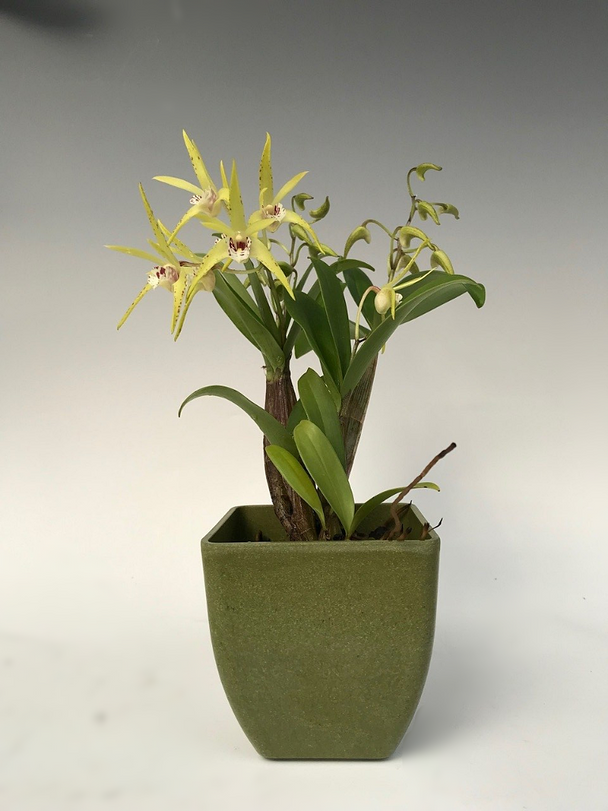 cbf121ea-fce6-4f9b-bde9-a87fd62098c6