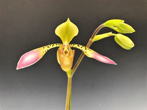 87c95564-ebfd-49e4-8d37-fad270181c34