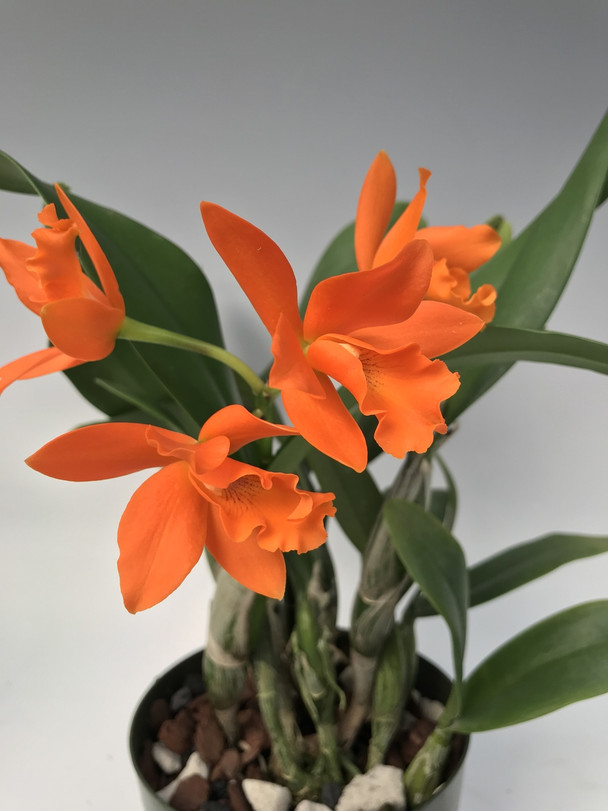 7530274e-099d-4186-928e-62c49f1181b5