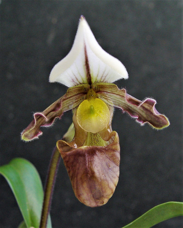 3f8d08e5-0b18-45a5-98c1-3078169803f7