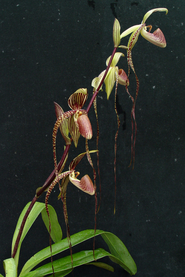 8b771dfd-f85d-4f27-8650-d91443b200f3