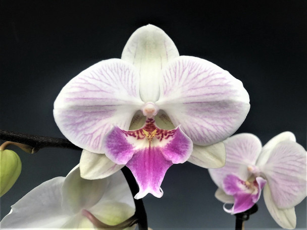 ff1cc20a-6a5f-417d-a39e-80cc5b05b0af