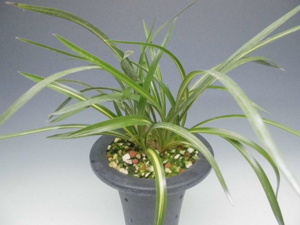 4db4008b-2e8b-42c4-960f-3d4c04b44809