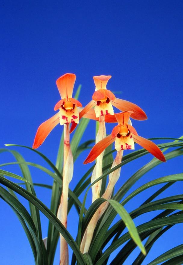 c5db8840-3d5f-4787-9ae7-9e9c365cd0c0