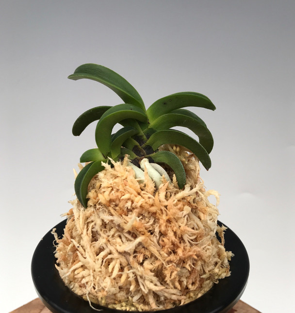 80b2ad84-5b73-4ec4-9fa0-2407c80c4a01