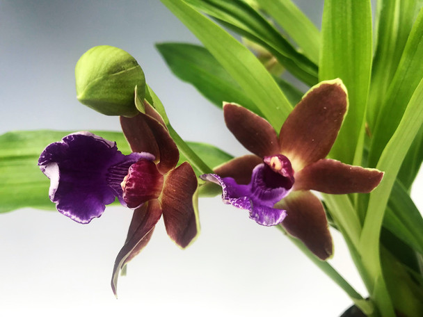 fdf5e666-6310-469d-859e-f5ee0d197106