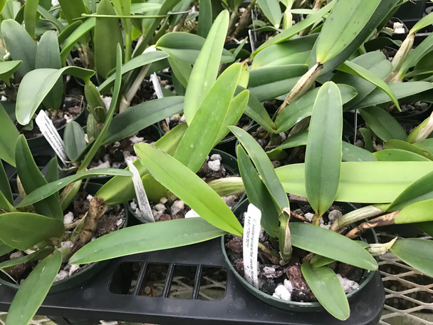 a1f65315-b4f4-4fcd-b899-063ec2893b00