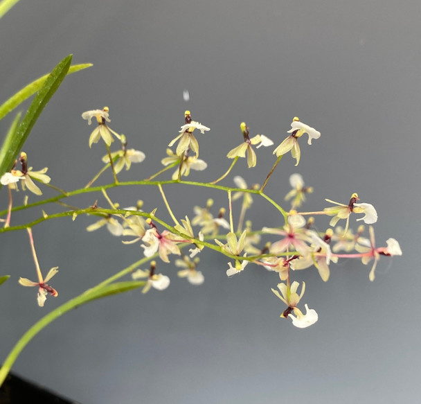 4df206a4-4839-42d0-a9cc-fa3306dc0fe7