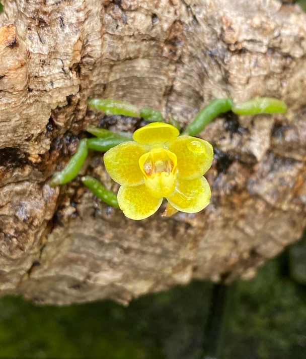 a17b1ff0-2bb2-475c-aad4-5850dfabc7bc