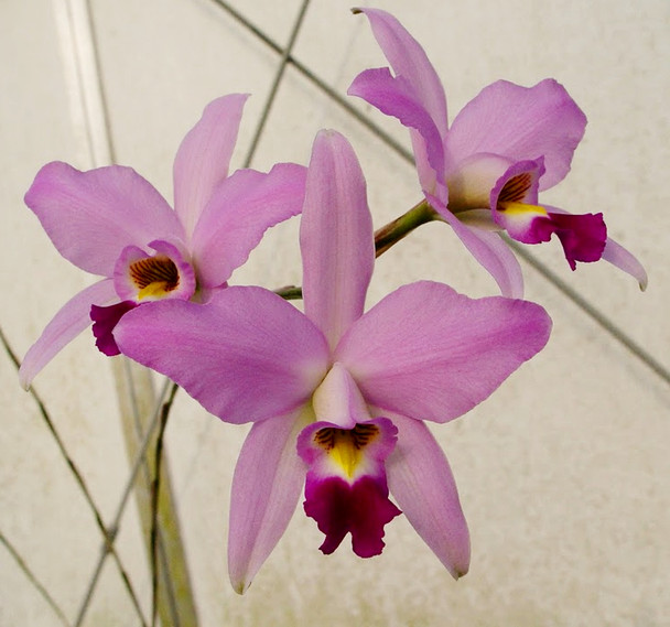 8889e861-fdd4-4e81-a0d9-2fa3034fe56d