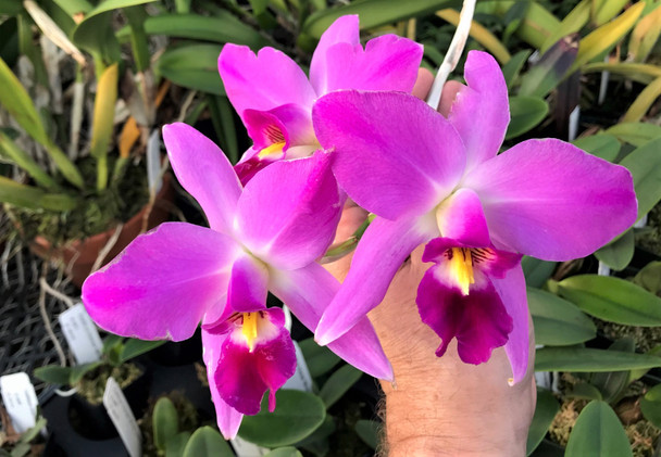 e6358fcb-f1cc-4998-8bce-450c36a0fa07