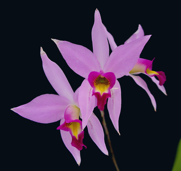 2c5bcd0d-89e7-4317-802f-e6899729392a