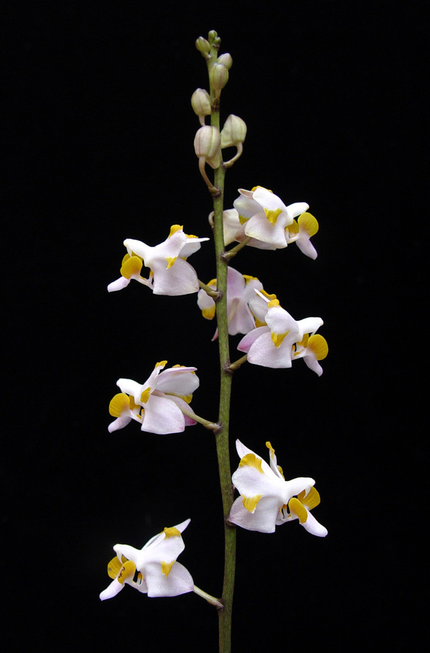 8e4412fa-a5a3-4dc8-900f-f59a1dd610a1