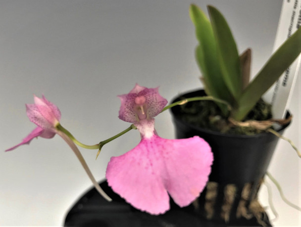 b4d4f212-bd65-48d0-9402-b9e683e254b1