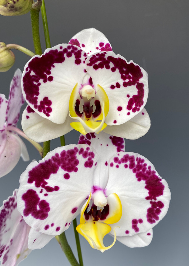 e7150c0e-35f2-45f5-b770-35236fc943bc