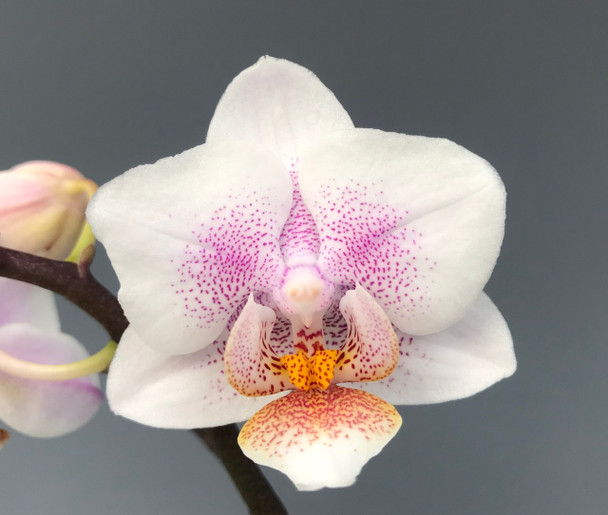 54ff95fa-0bf9-4e7d-81f0-7f1a592060c8