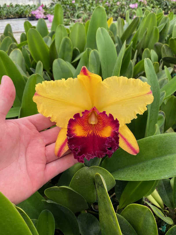 77d38108-76a1-475e-823b-026a4091f70f