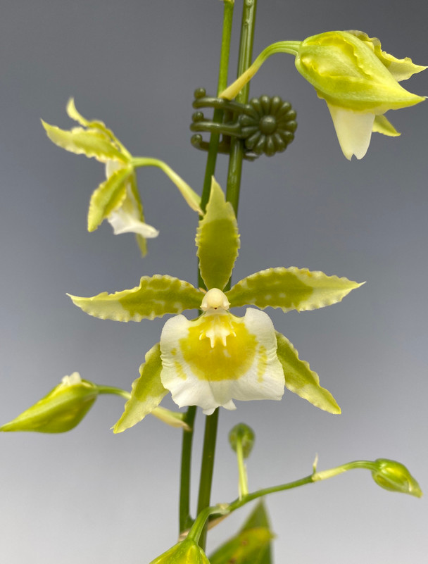 126bb757-5eb1-41f9-b470-5de88dee4bbc