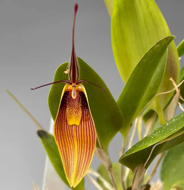 e9963cd9-a4c6-4683-aee7-8b420bb6fb81