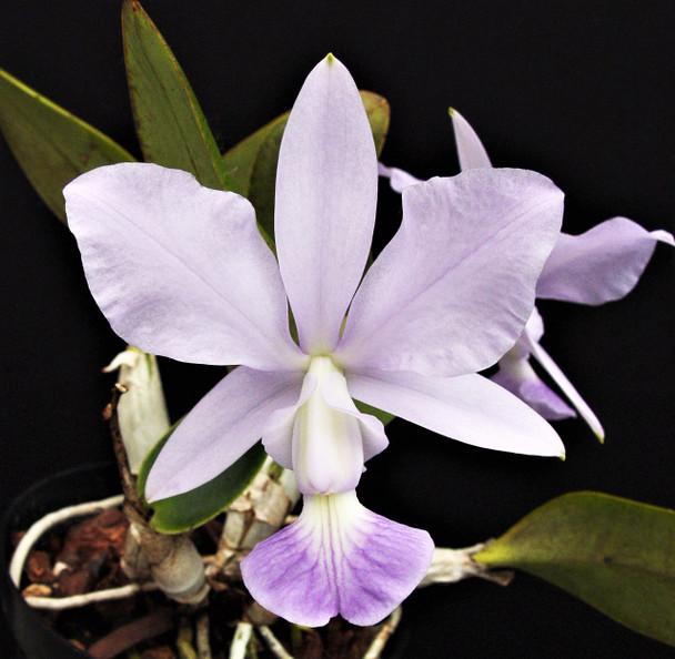 3ac2848d-2e8d-42ee-a310-dc1899099f7f