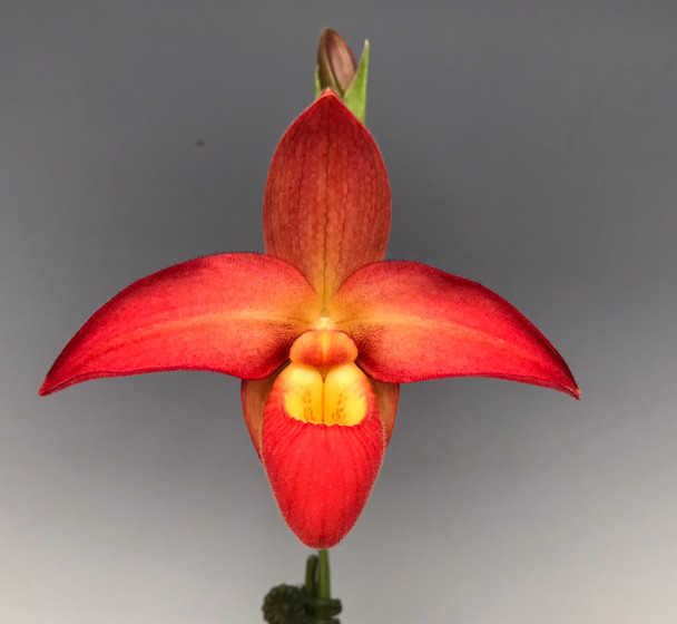 c0e25122-4e64-4ee1-b2dd-e2686bf40cd1