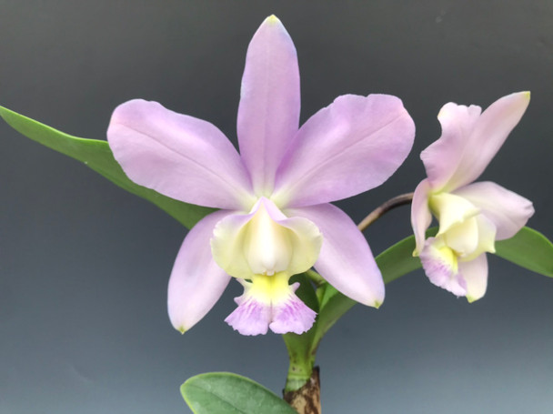 9be9f487-6bf7-45e9-b989-b5fe512a1c6c