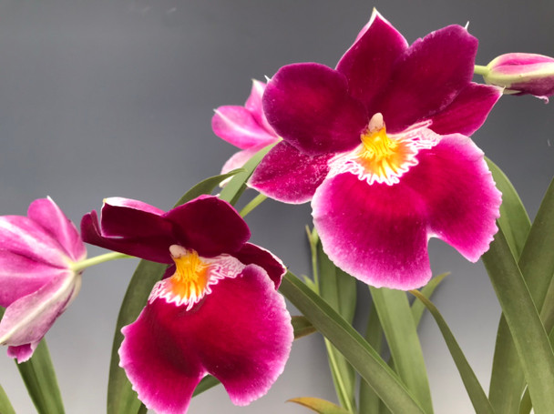 f4824927-618c-492a-b2c5-950159028ad4