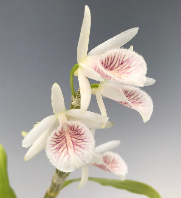 e64c8a07-dfad-451c-a229-6d9a8584120e