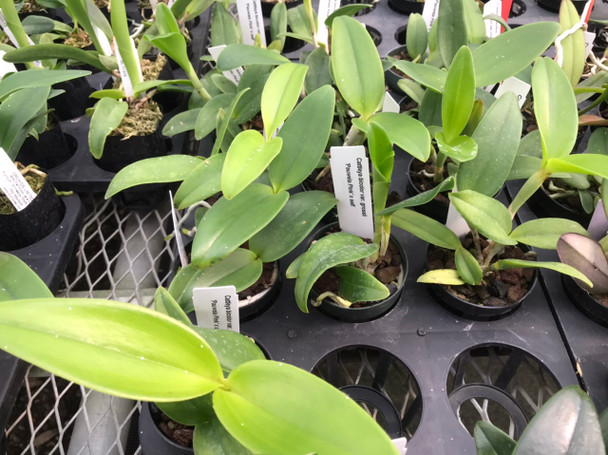 82999d8f-0cc2-4f8f-98bf-a4021827791d