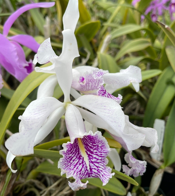 ee30d476-dd22-4b2c-92d4-40c915926fdd