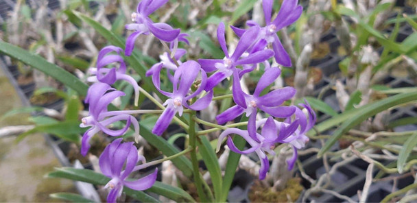 12a1d8dc-7600-49cf-affa-869aa214bd23