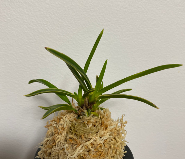 bcc04ed9-53ec-4b25-aba8-47103e464062