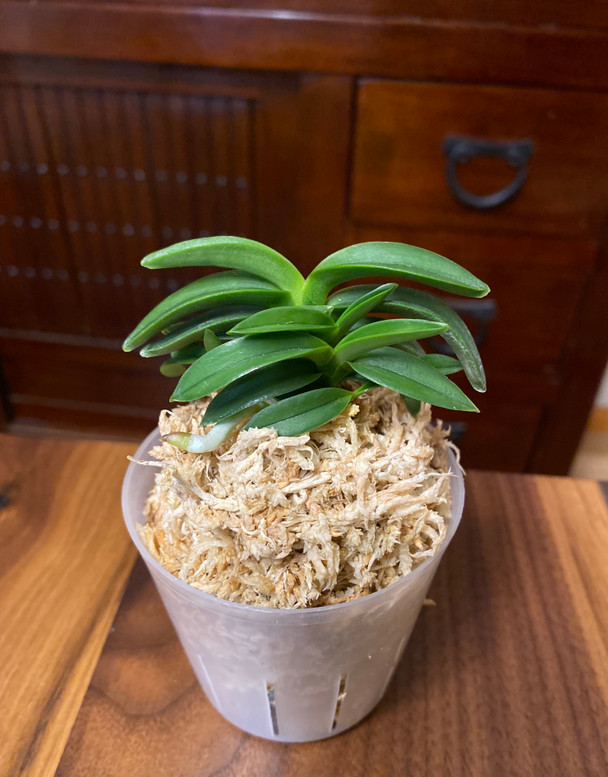 61b25927-e2eb-4dc2-b1d7-8817a07739ee