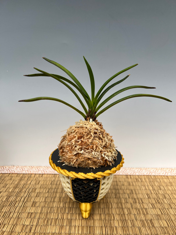 819e580a-cf42-4ecc-9d1b-138994a731dd