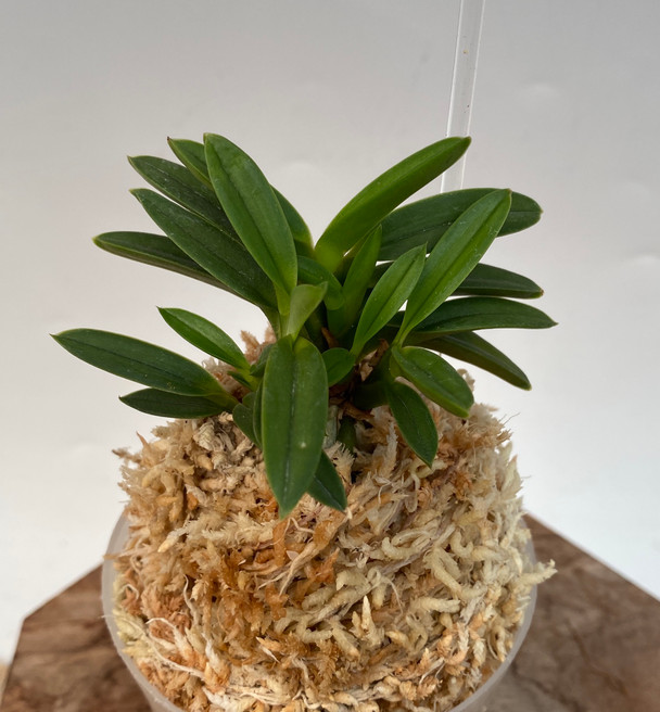 79ab894e-d595-422c-8bba-747a686176b7