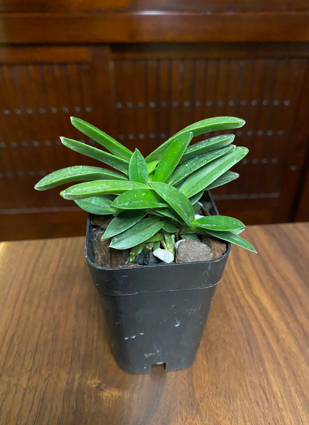 f88964d8-bd75-4626-8de9-c6e3d94a8989