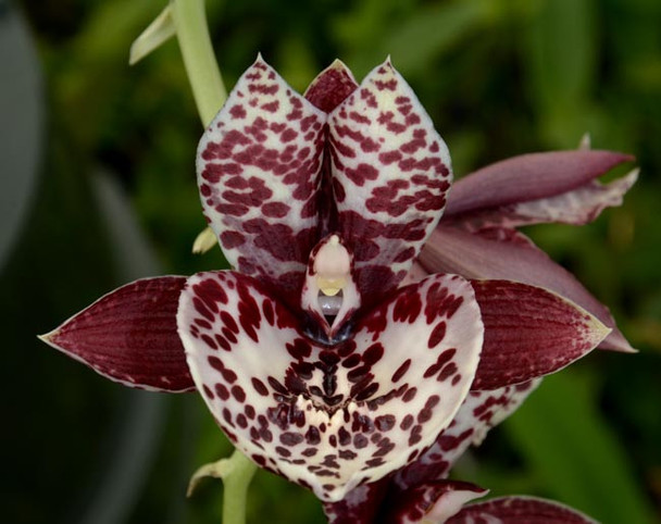 92118126-6242-4f19-8fd8-fd1bae1bca13