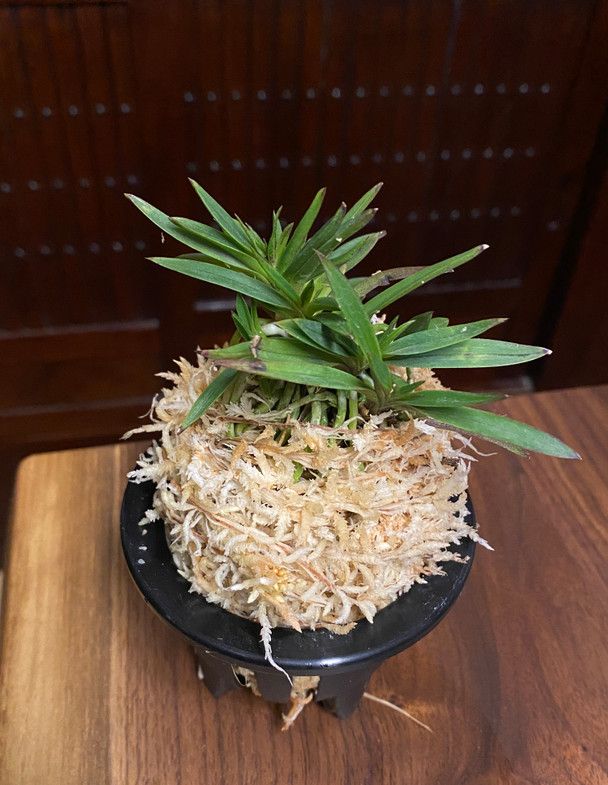 e1a390c9-c1b9-4418-8fbb-fe2008120d7b