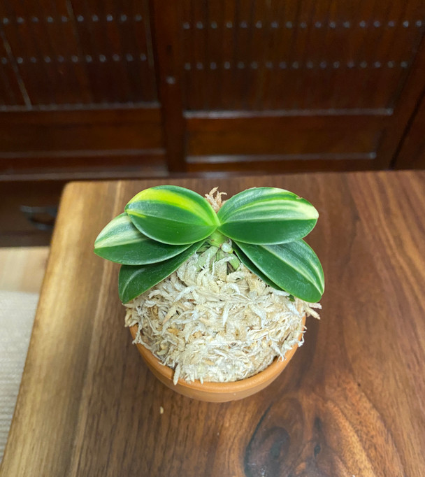 8dbad0dc-3853-4344-900b-2be5c6d1bbde