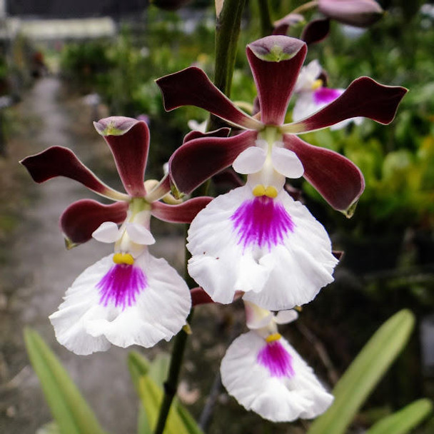 f3064bd1-4883-4dc6-b6e0-16923b5d50ff