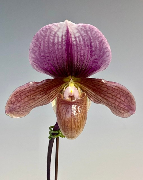 024d6d2f-2990-498c-a08e-adebba751820