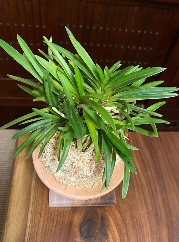 e34d64dc-da05-4bf4-ac64-e5a1c7c173cf