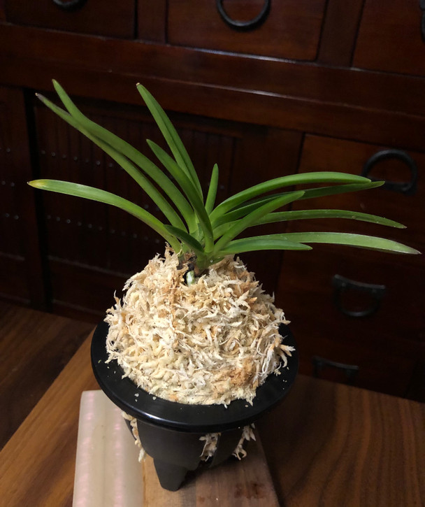 46486438-f8db-48b1-b154-8937658d48ee