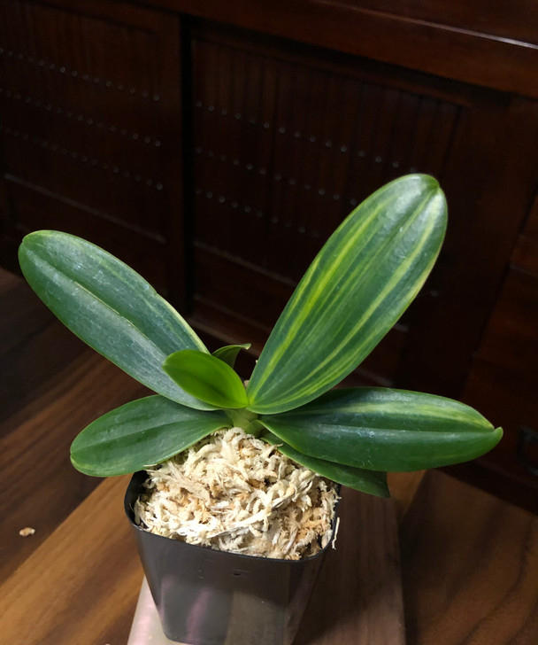 5ecdd6c2-f10c-4c5d-92da-fcd632fb4634