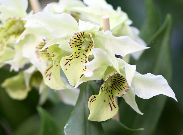 c36a2087-bb38-4927-a1c7-053cf9171a75