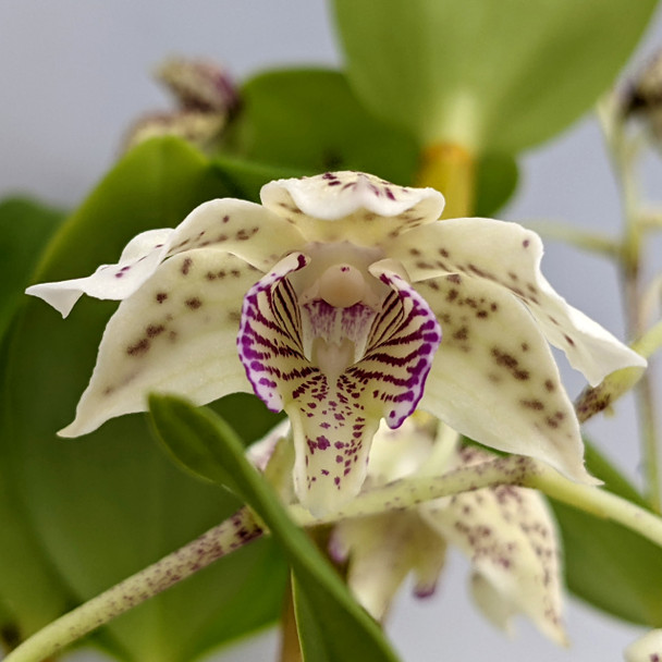 5f7c8899-9795-4ffc-92d9-ab8b3c4d508e