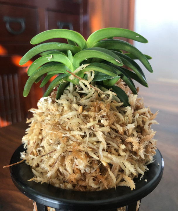 caf6575c-089e-481f-890d-91d0df0f143a