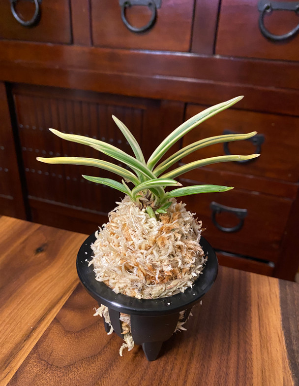 2a084baf-028c-4d81-a096-70a930824e84