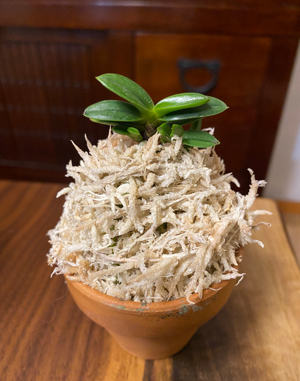 892a7de3-6b12-4c01-a2b8-348ab015f0a8