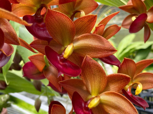 e8de3600-8ce5-4199-a745-e79343011e10